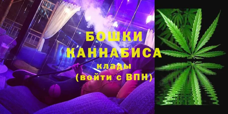 Шишки марихуана SATIVA & INDICA  где купить   Новозыбков 